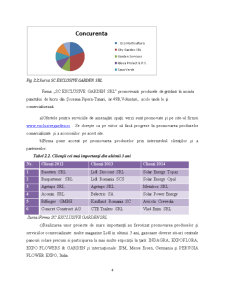 Analiza financiară a firmei SC Exclusive Garden SRL - Pagina 4