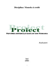 Reforma Sistemului Bancar din Romania - Pagina 1