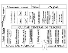Organizare interioară - Carrefour Orhideea - Pagina 4