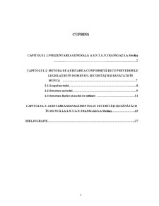 Auditarea conformității cu prevedrile legislației în domeniul securității și sănătății în munca la SNTGN Transgaz SA Mediaș - Pagina 2