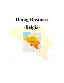 Analiza mediului de afaceri din Belgia - Pagina 1