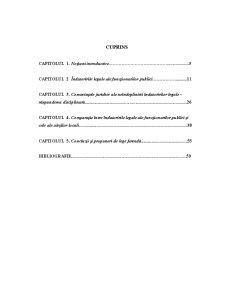 Îndatoririle legale ale funcționarului public - Pagina 4