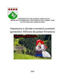 Organizarea și eficența economică a pensiunii agroturistice Mărioara din județul Maramure - Pagina 1