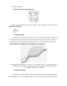Hidroidilitare - Pagina 3