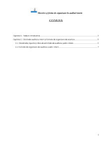 Obiective și forme de organizare în auditul intern - Pagina 2