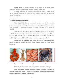 Aplicații biomedicale ale chitosanului - Pagina 5