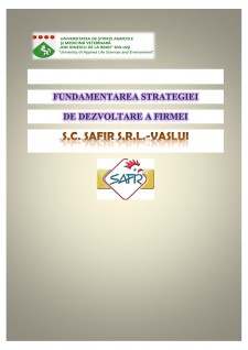 Fundamentarea strategiei de dezvoltare a firmei SC Safir SRL - Pagina 1