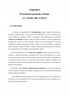 Fundamentarea strategiei de dezvoltare a firmei SC Safir SRL - Pagina 4