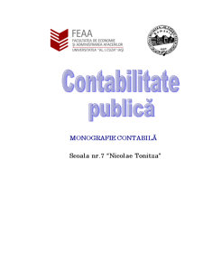 Contabilitate Publica - Monografie Contabila - Scoala Nr.7 Nicolae Tonitza - Pagina 1