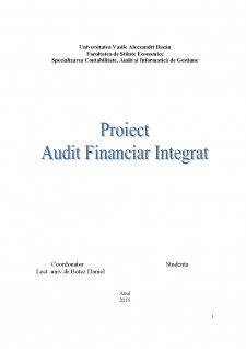 Audit financiar integrat - Pagina 1