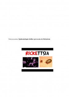 Epidemiologia bolilor provocate de Rickettsia - Pagina 2