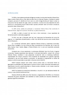 Managementul calității - Castraveți murați - Pagina 3