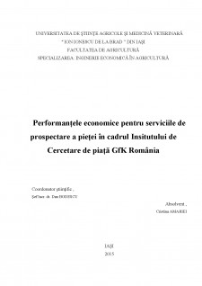 Performanțele economice pentru serviciile de prospectare a pieței în cadrul Institutului de cercetare de piața GFK România - Pagina 2