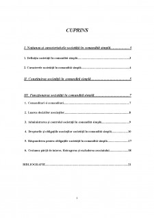 Funcționarea societăților în comandită simplă - Pagina 2