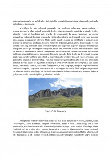 Munții Trăscău - potențial turistic - Pagina 4