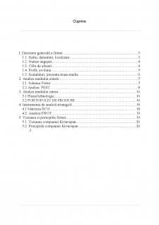 Analiza strategică a firmei SC Kronospan România SRL - Pagina 2