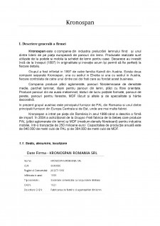 Analiza strategică a firmei SC Kronospan România SRL - Pagina 3