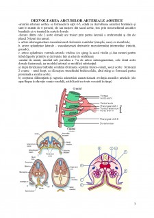 Dezvoltarea arcurilor arteriale aortice - Pagina 1