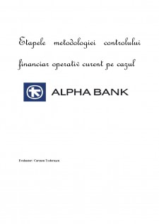 Etapele metodologiei controlului financiar operativ curent pe cazul Alpha Bank - Pagina 1