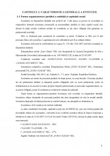 Raport privind efectuarea stagiului practicii de inițiere la I.M Euro Olmar SRL - Pagina 5