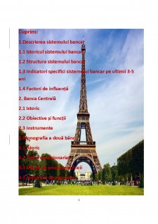 Monografia sistemului bancar din Franța - Pagina 2