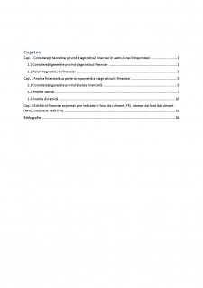 Analiza echilibrului financiar în cadrul diagnosticului financiar - Pagina 1