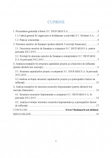 Analiza surselor de finanțare ale întreprinderii studiu de caz SC Biofarm SA - Pagina 2