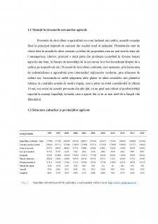 Caracteristicile activităților economice și rolul lor în organizarea teritoriului - Municipiul Bârlad - Pagina 2