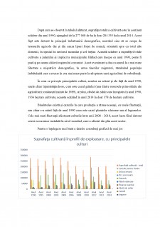 Caracteristicile activităților economice și rolul lor în organizarea teritoriului - Municipiul Bârlad - Pagina 3