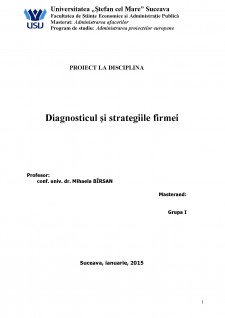 Diagnosticul și strategiile societății comerciale Ceprohart Brăila - Pagina 1
