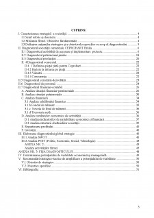 Diagnosticul și strategiile societății comerciale Ceprohart Brăila - Pagina 3