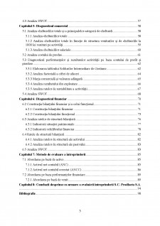 Evaluarea întreprinderii SC prodlacta SA - Pagina 3