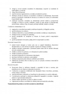 Proiect economic SC Automobile Dacia SA - Pagina 2