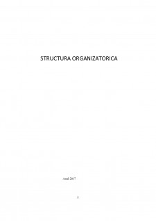 Structura organizatorică - studiu de caz Hotel Tolea - Pagina 2