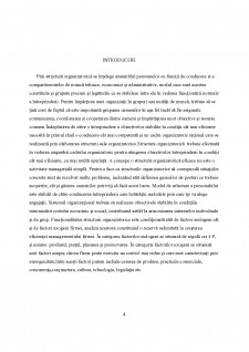 Structura organizatorică - studiu de caz Hotel Tolea - Pagina 4