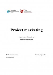 Marketing - Energizant - Pagina 1
