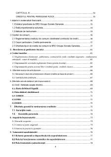 Elementele esențiale ale tehnicilor bancare practicate de băncile comerciale românești - Pagina 4