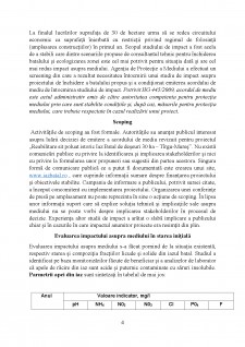 Lucrări de închidere-ecologizare a iazului Batal de la SC Azomureș SA Târgu Mureș - Pagina 4