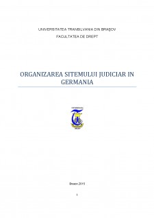 Organizarea sitemului judiciar în Germania - Pagina 1