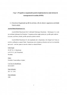 Implementarea sistemului de management de mediu - ArcellorMittal Hunedoara - Pagina 3