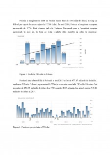 Analiza economico-financiară Tymbark Maspex-Polonia - Pagina 5