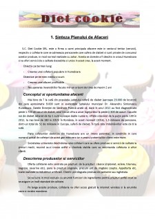 Plan de afaceri - Cofetăria Diet cookie - Pagina 3