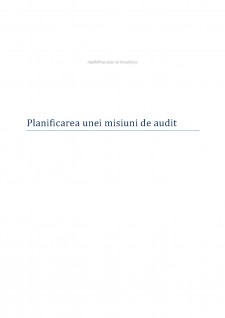 Planificarea unei misiuni de audit - Pagina 1