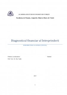 Diagnosticul financiar al întreprinderii Boromir Prod SA Buzau - Pagina 1