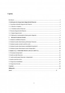 Diagnosticul financiar al întreprinderii Boromir Prod SA Buzau - Pagina 2