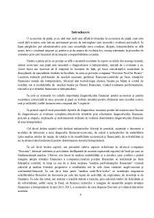 Diagnosticul financiar al întreprinderii Boromir Prod SA Buzau - Pagina 3
