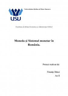 Moneda și sistemul monetar în România - Pagina 1