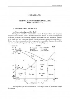 Studiul diagramei de echilibru fier-cementită - Pagina 1