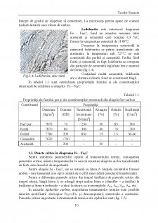 Studiul diagramei de echilibru fier-cementită - Pagina 4