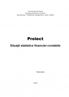 Situații statistice financiar-contabile - Pagina 1